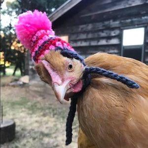 Meet your Posher, Amy